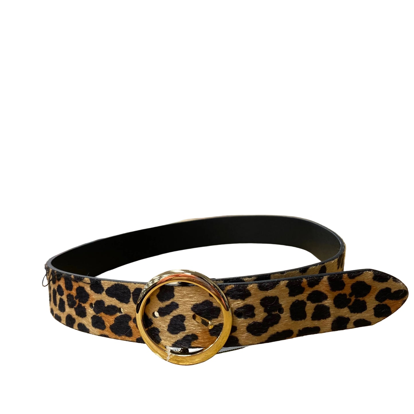 Belt By Steve Madden In Animal Print