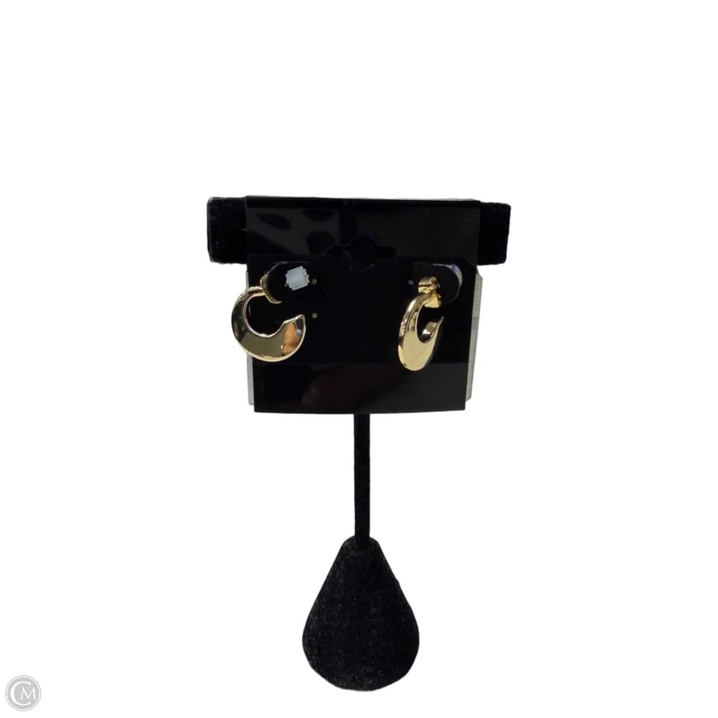 Earrings Hoop