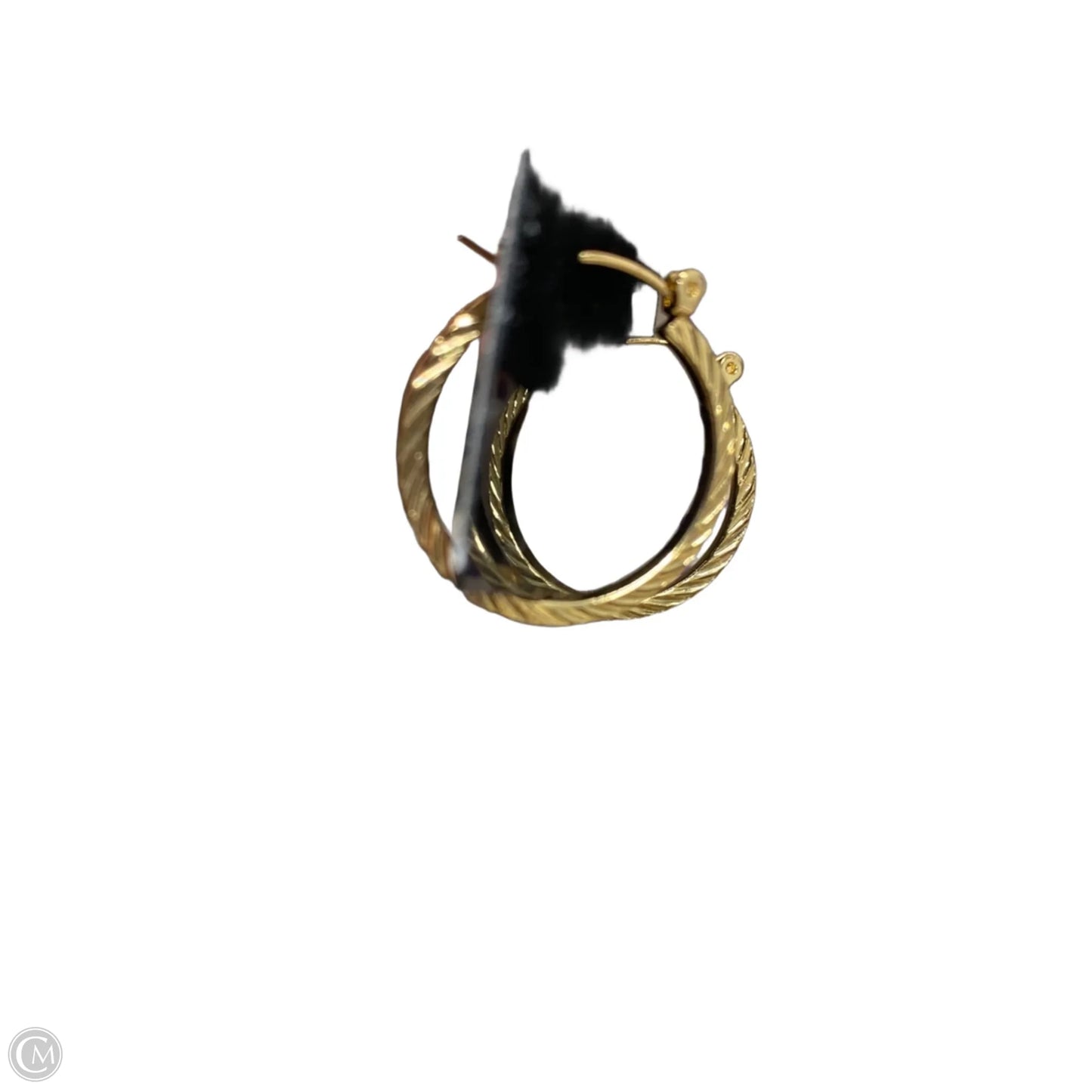 Earrings Hoop