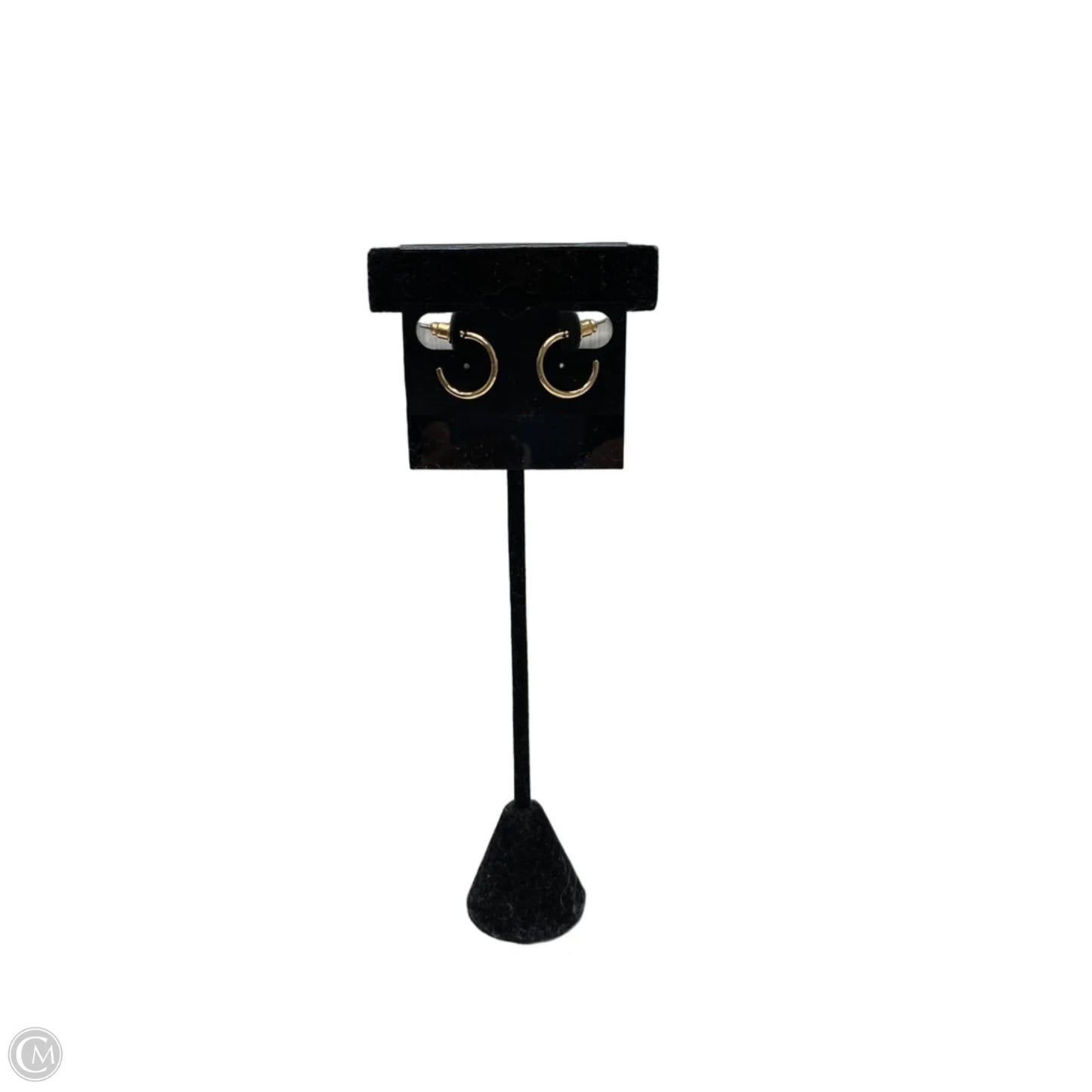 Earrings Hoop