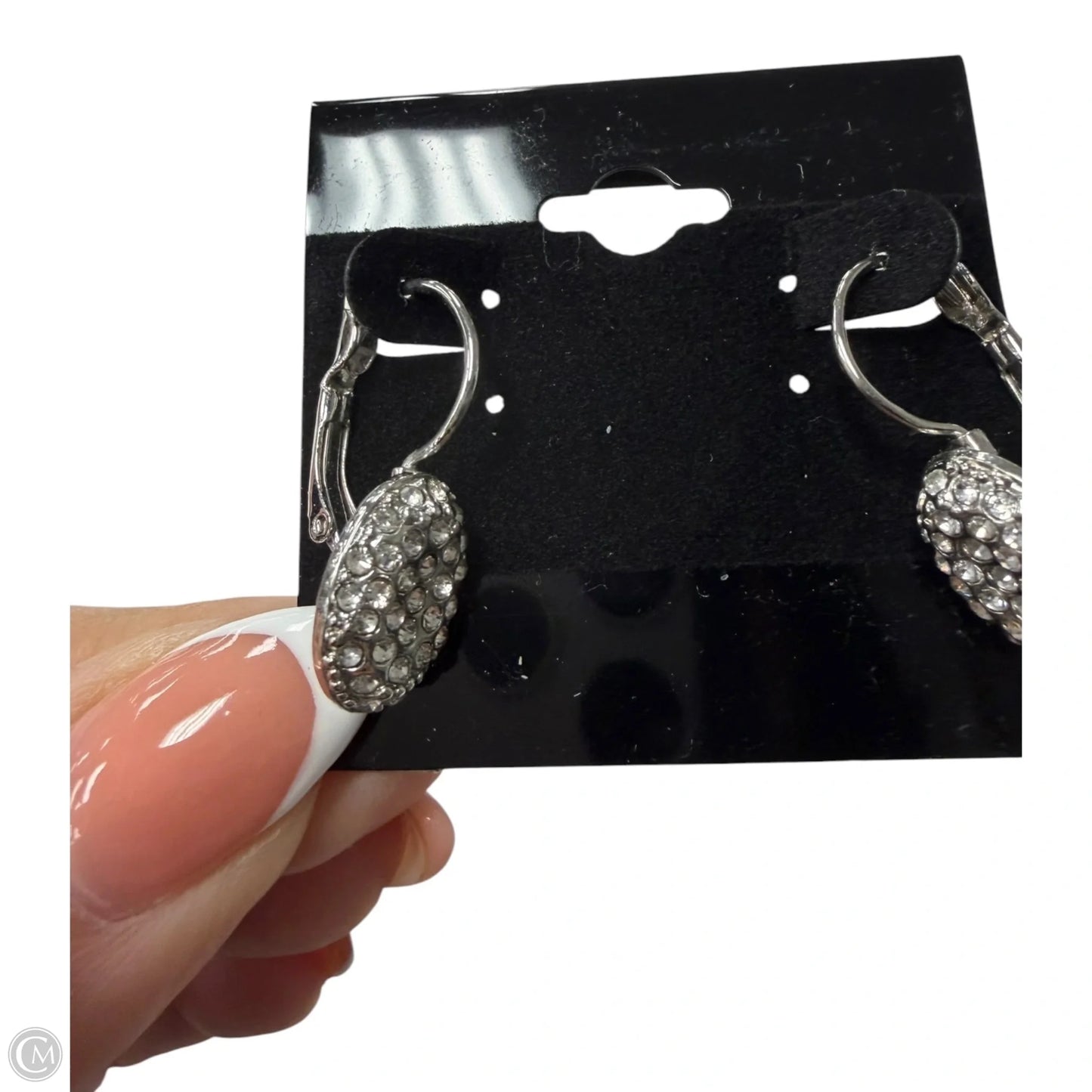 Earrings Dangle/drop