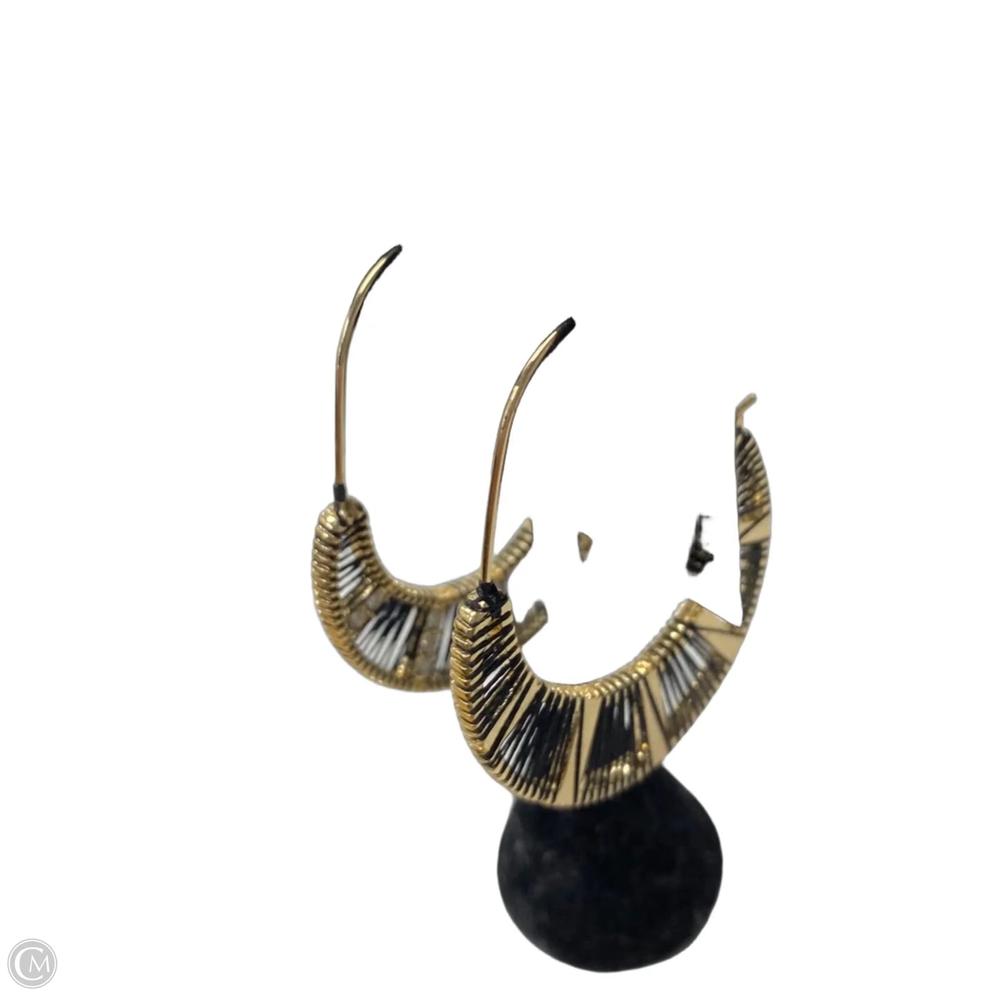 Earrings Other