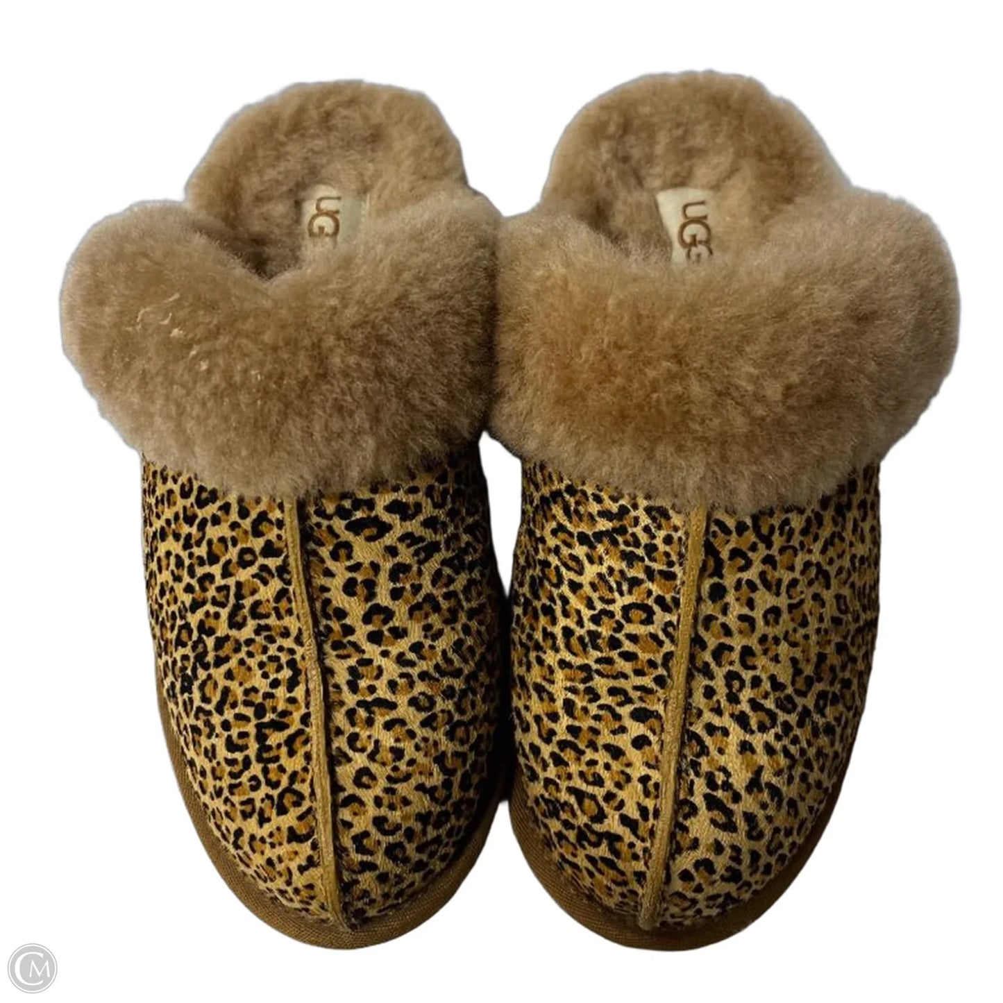 Slippers Designer By Ugg In Brown, Size: 7