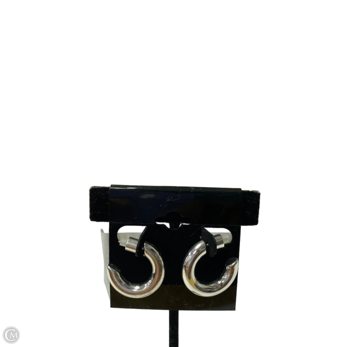 Earrings Hoop