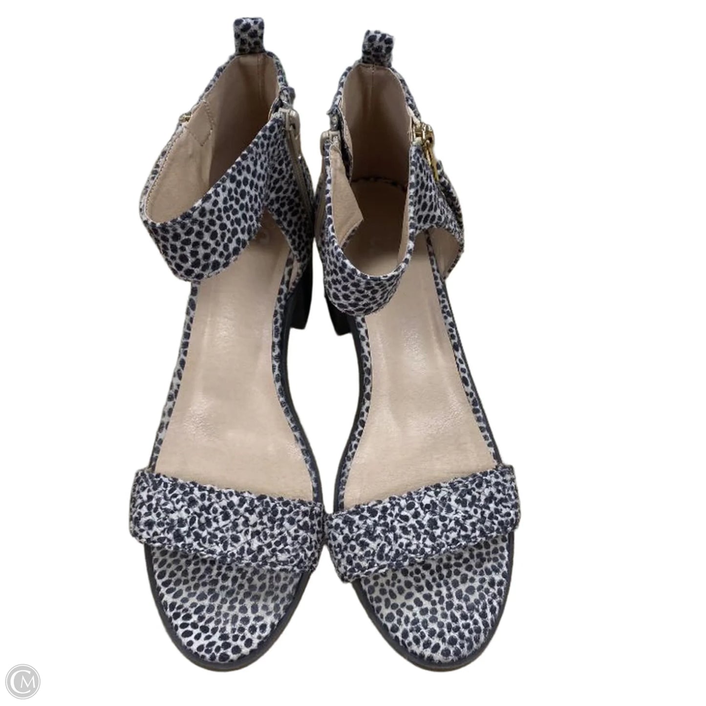 Shoes Heels Block By jg In Brown, Size: 10