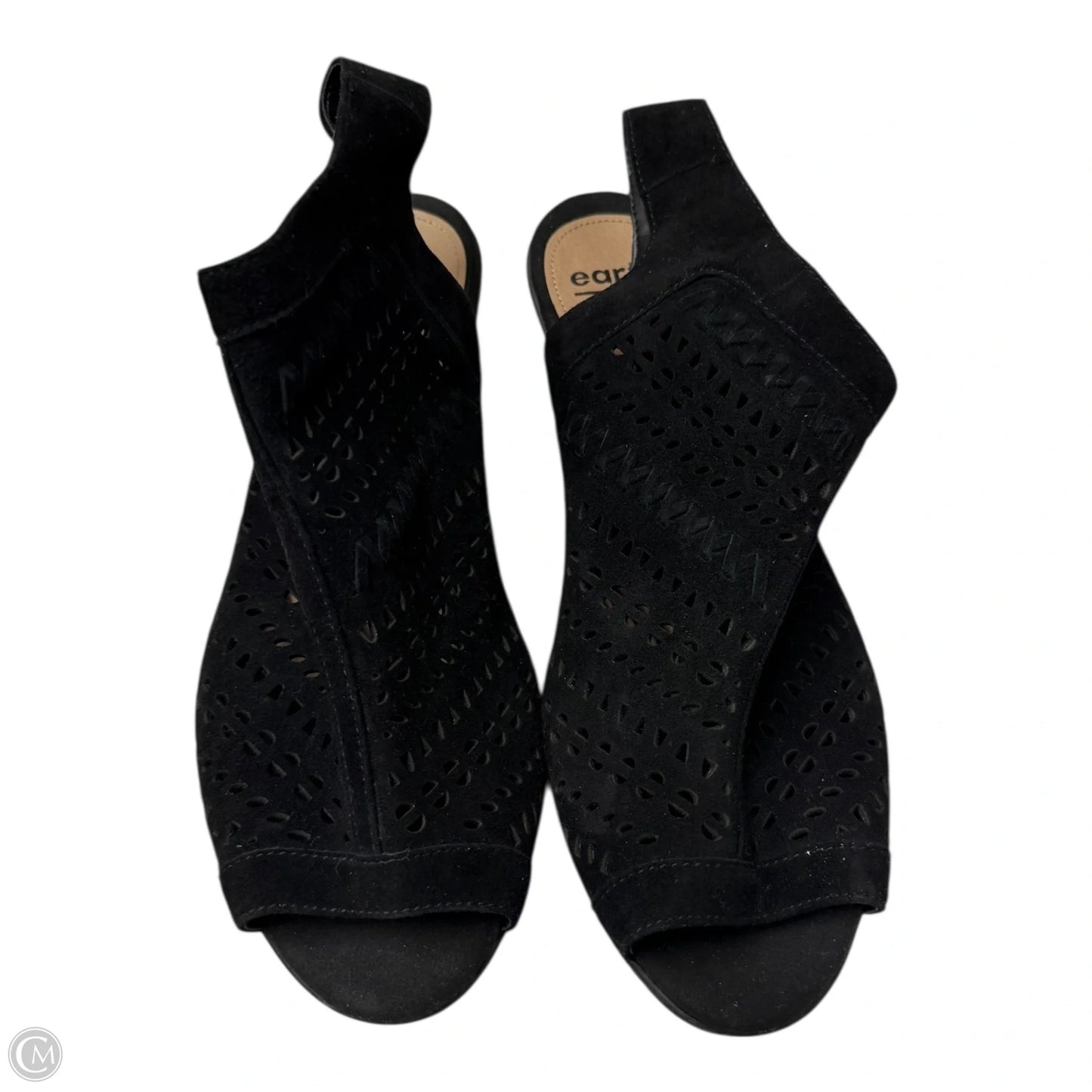 Sandals Heels Block By Earth In Black, Size: 9.5