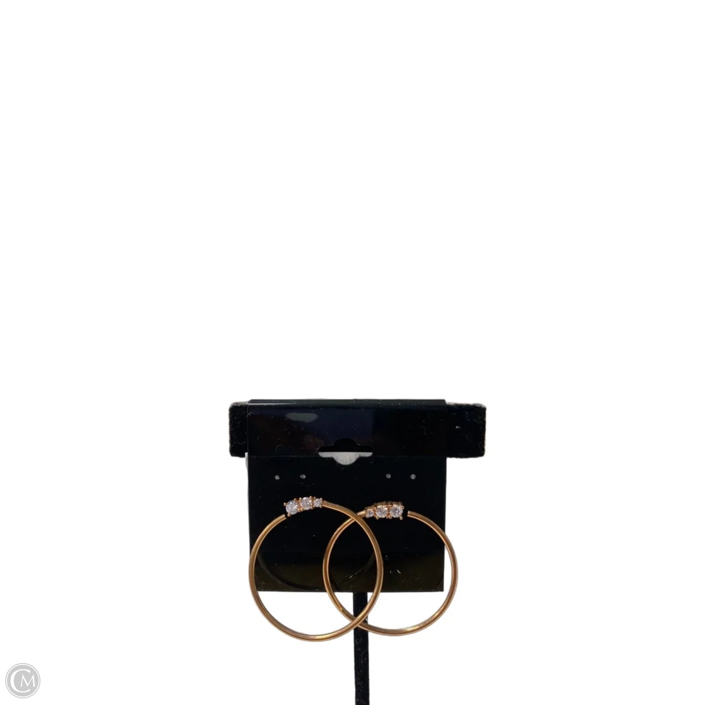 Earrings Hoop