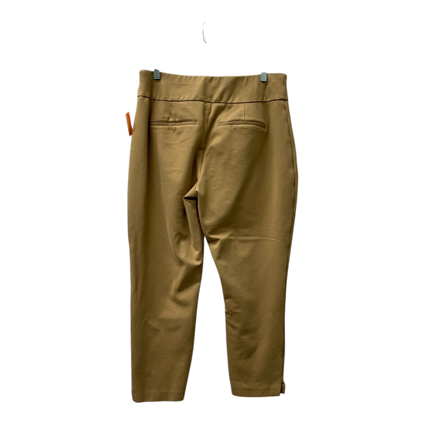 Pants Other By Express In Tan, Size:14