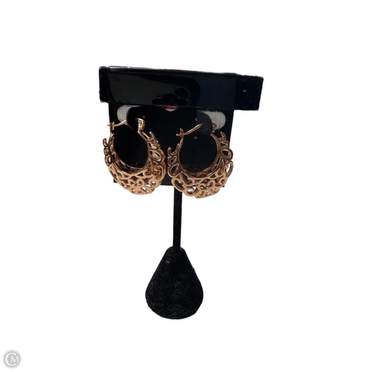 Earrings Hoop