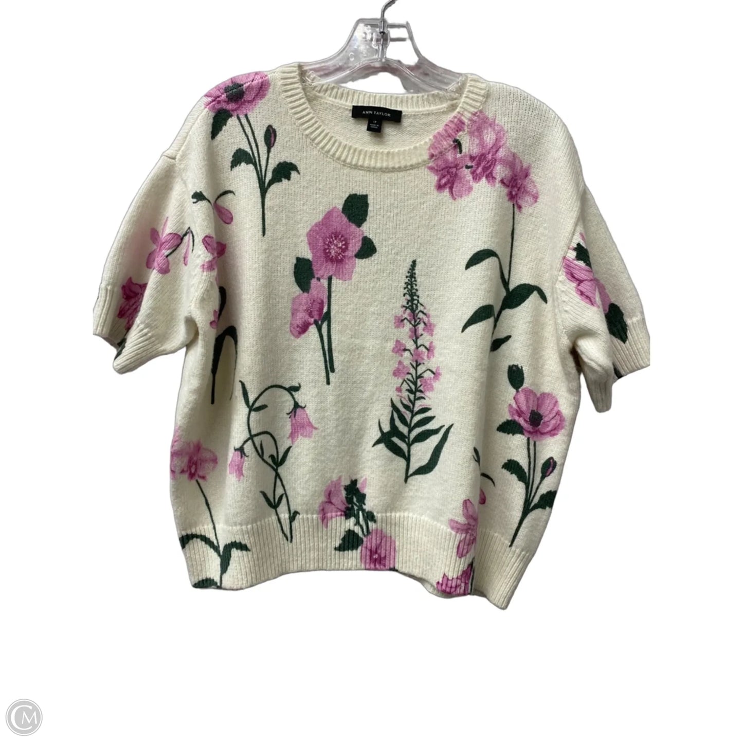 Sweater Short Sleeve By Ann Taylor In Ivory, Size: Lp