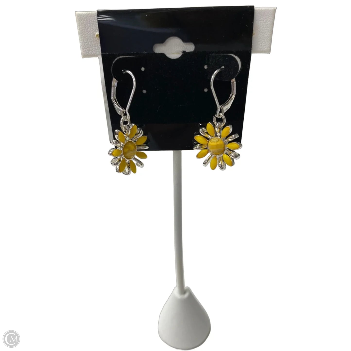 Earrings Dangle/drop