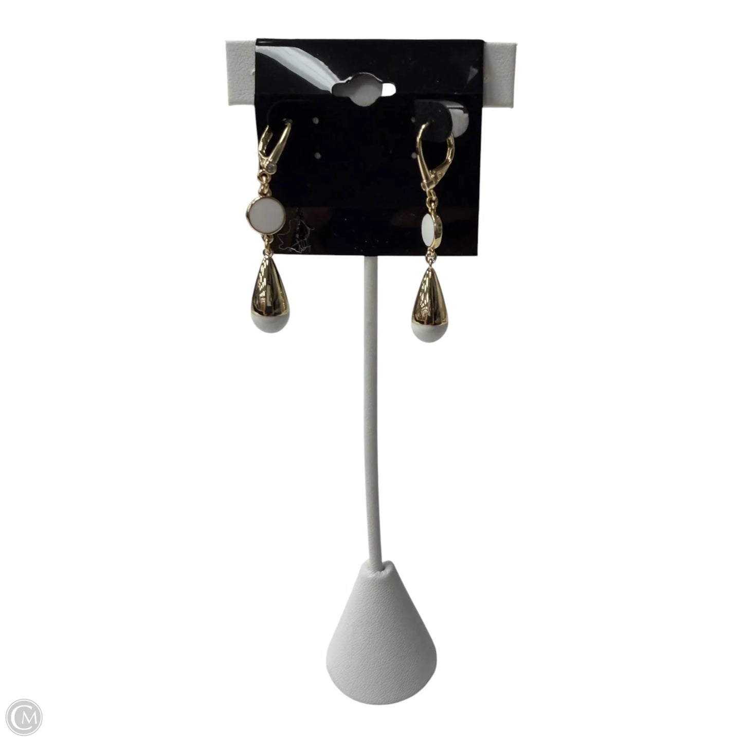 Earrings Dangle/drop By Dkny