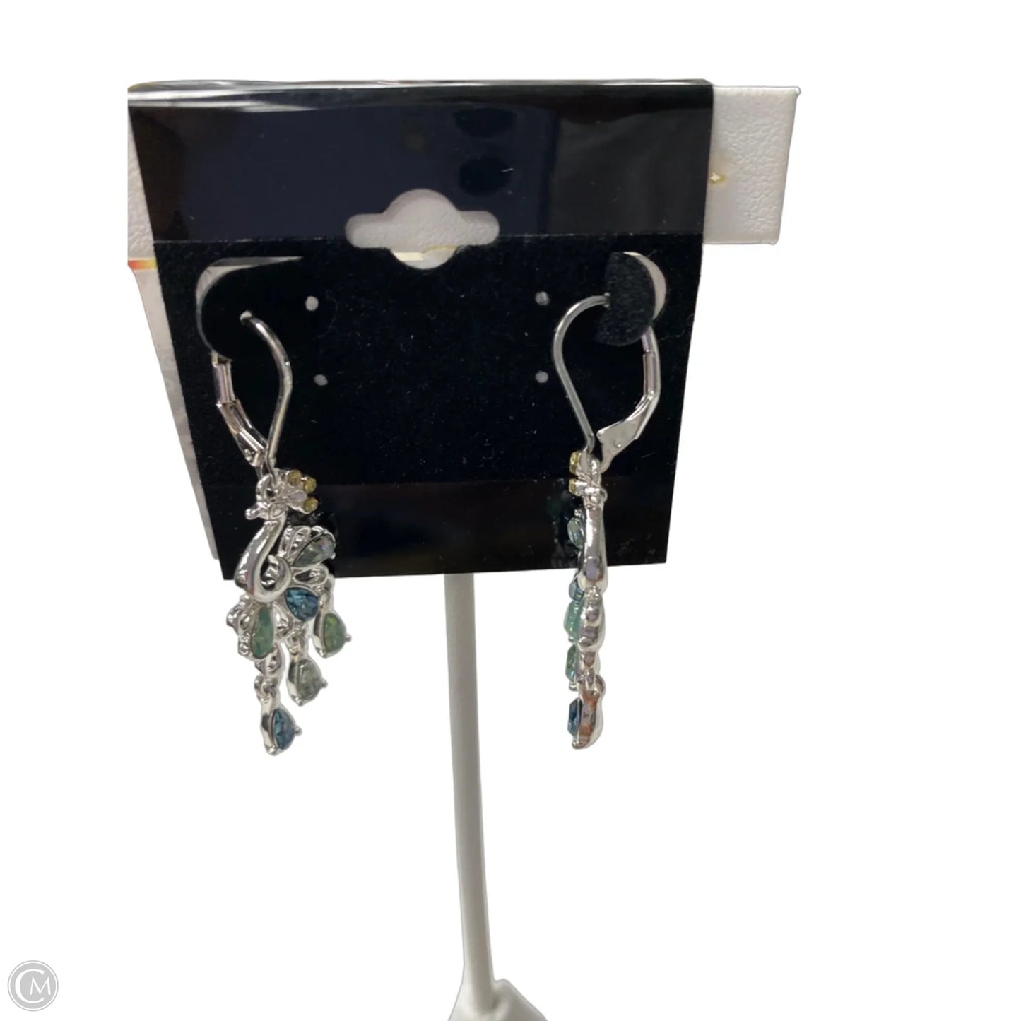 Earrings Dangle/drop