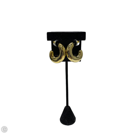 Earrings Hoop