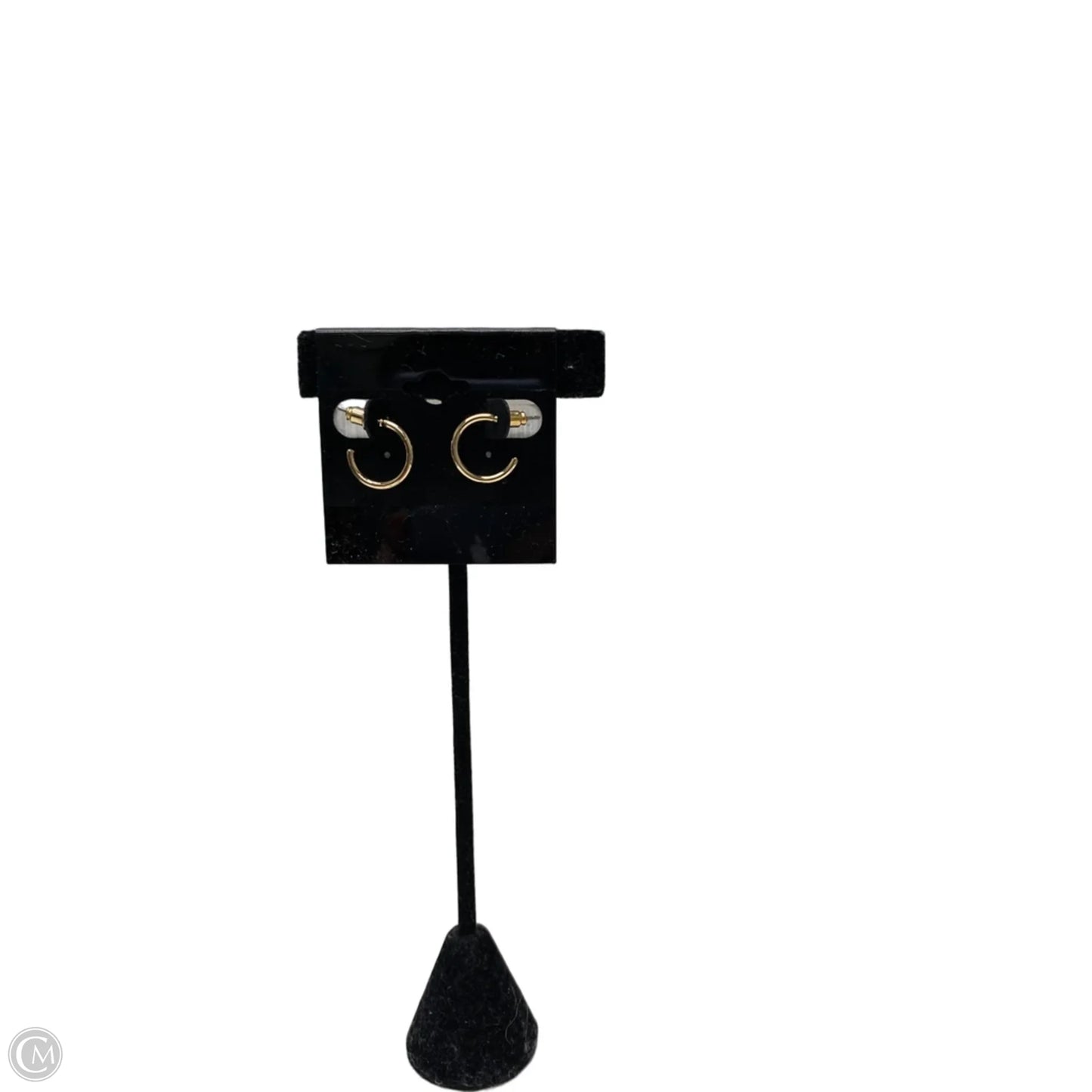 Earrings Hoop