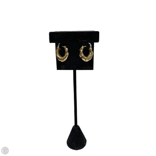 Earrings Hoop