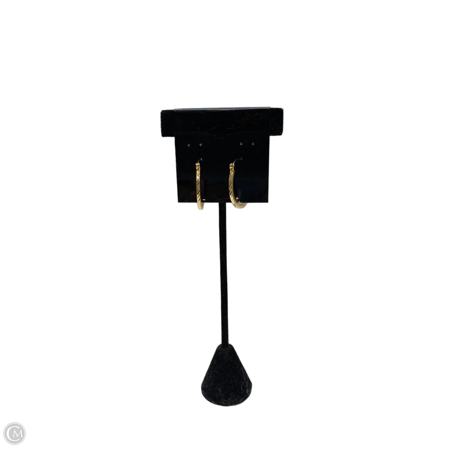 Earrings Hoop