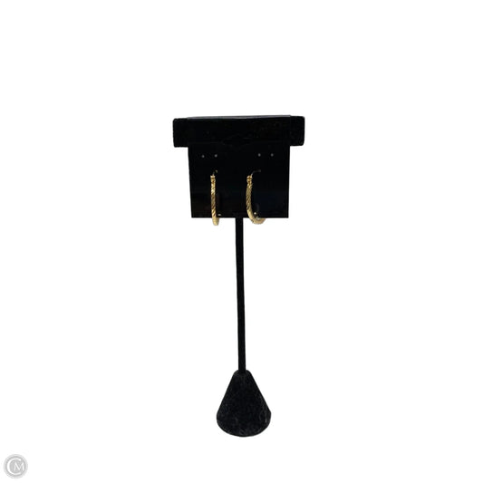 Earrings Hoop