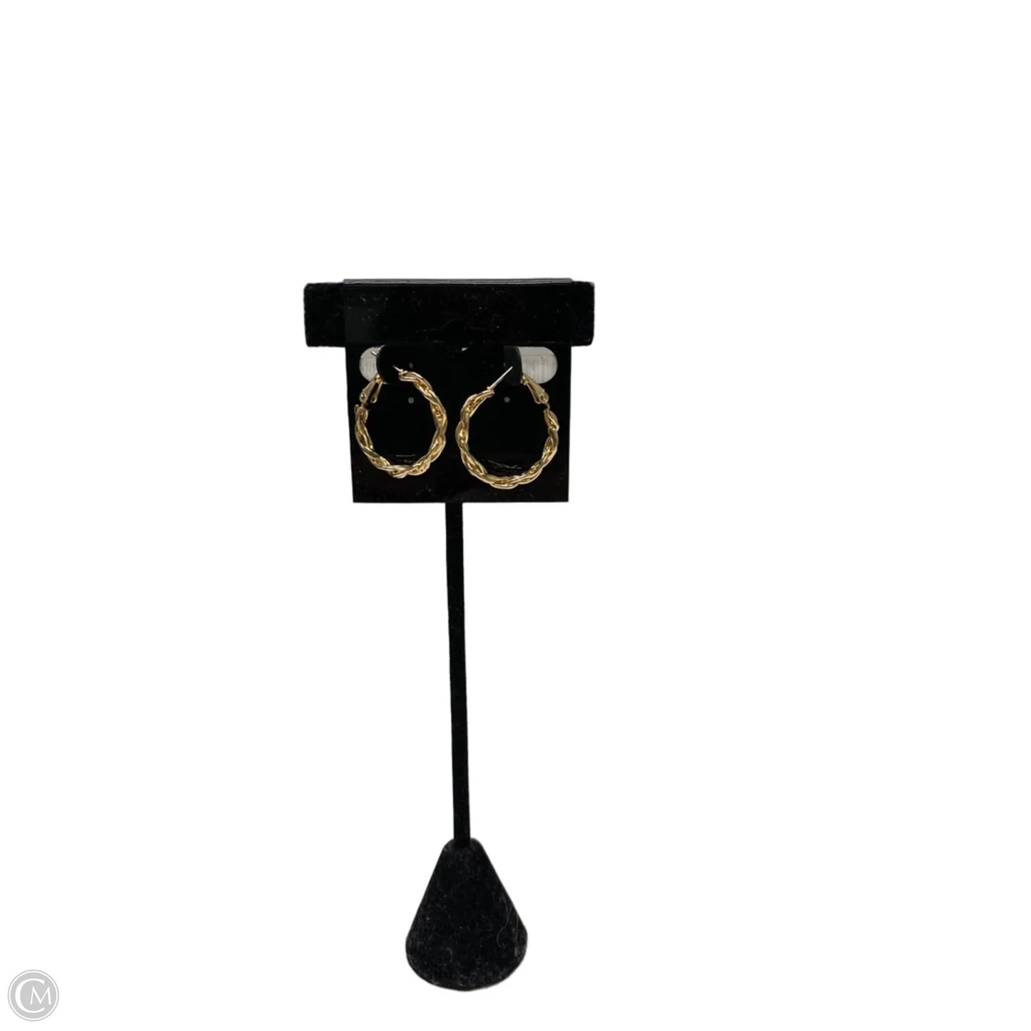 Earrings Hoop