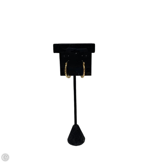 Earrings Hoop
