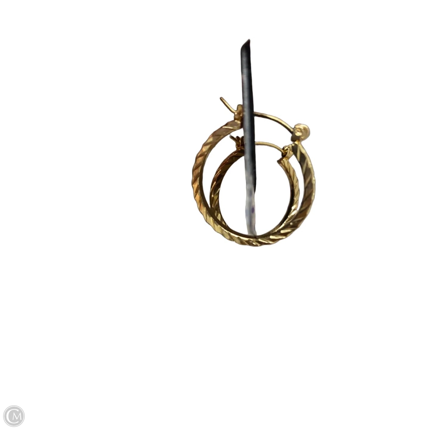 Earrings Hoop