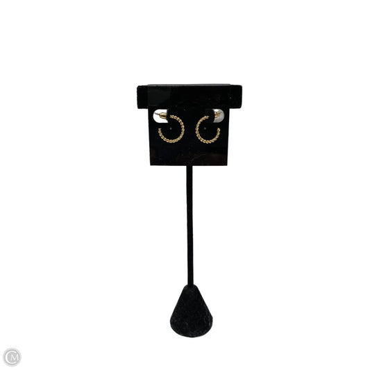 Earrings Hoop