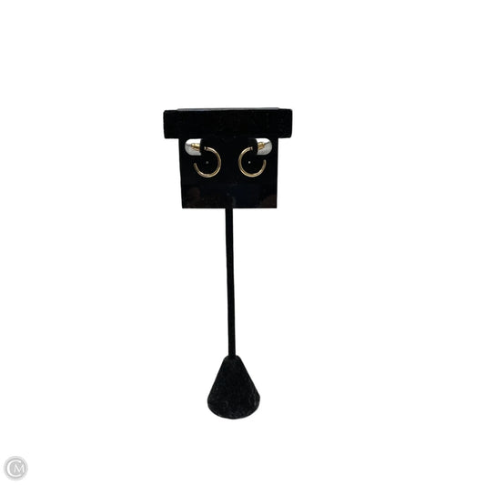 Earrings Hoop