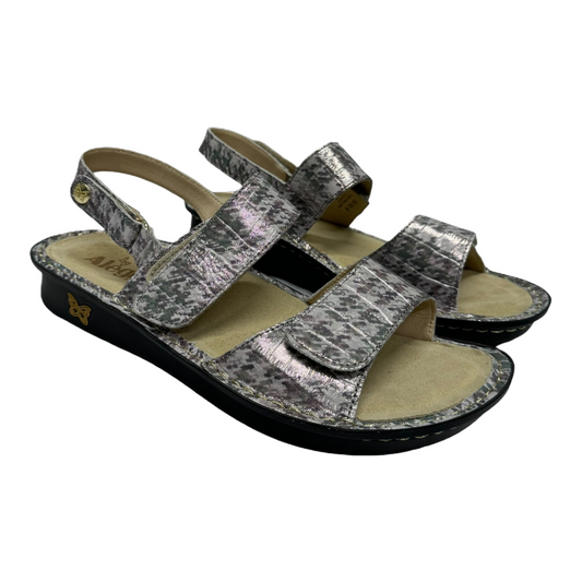 Sandals Flats By Alegria  Size: 9.5