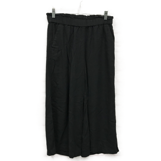 Pants Other By Loft  Size: Petite  M