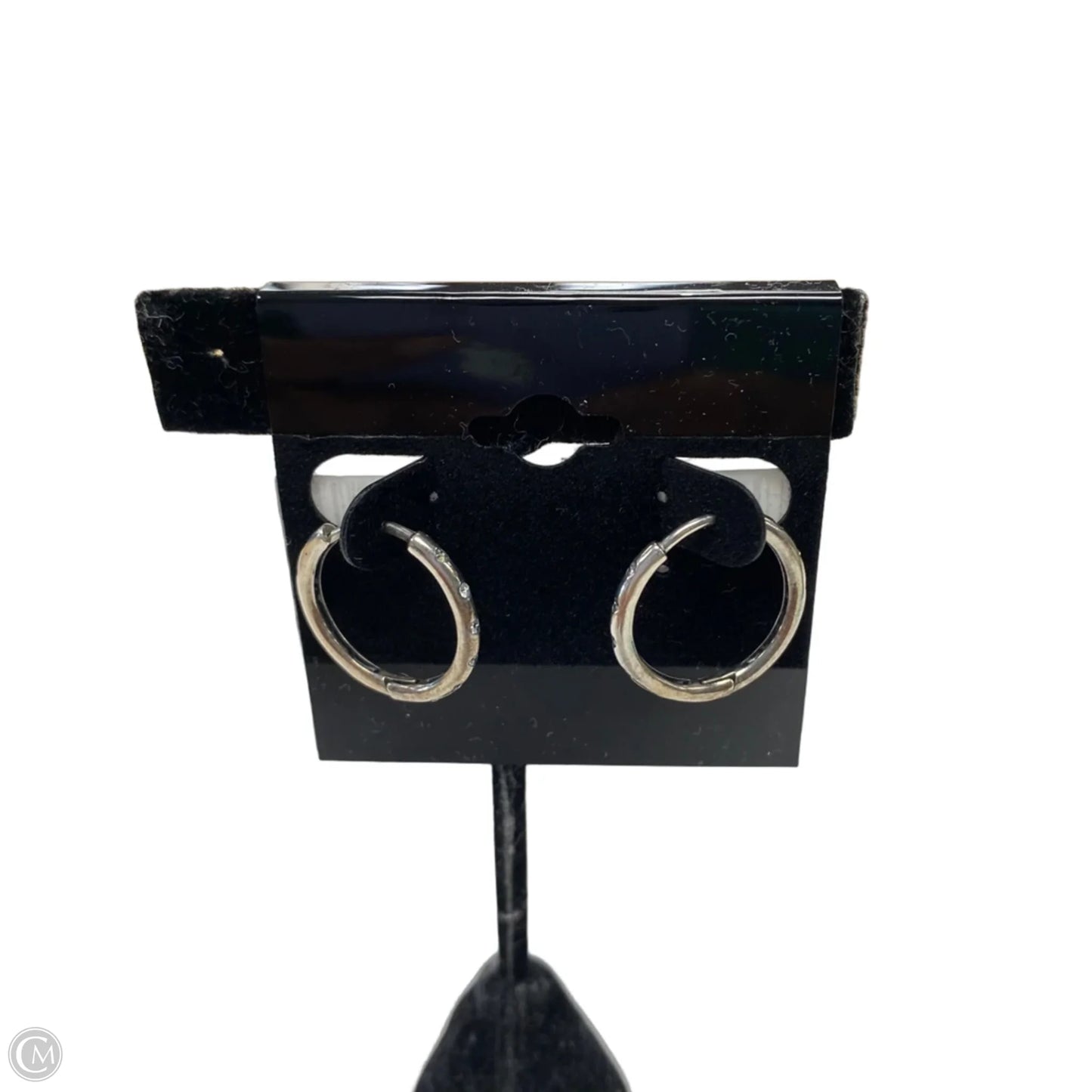 Earrings Hoop By Pandora