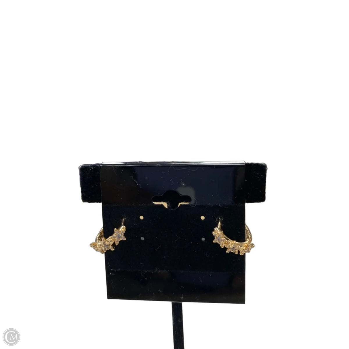 Earrings Other