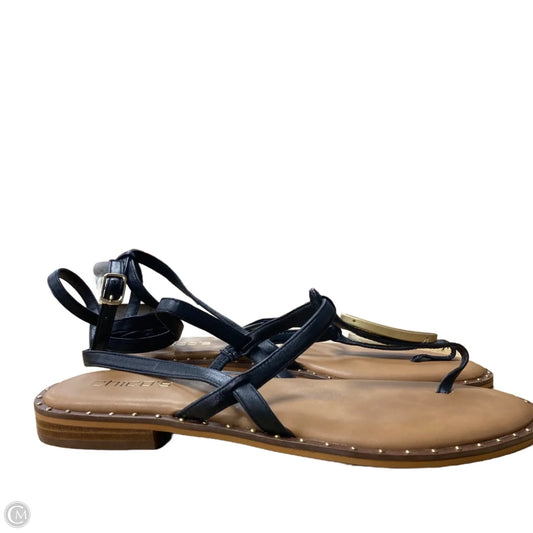 Sandals Flats By Chicos In Black & Tan, Size: 9.5