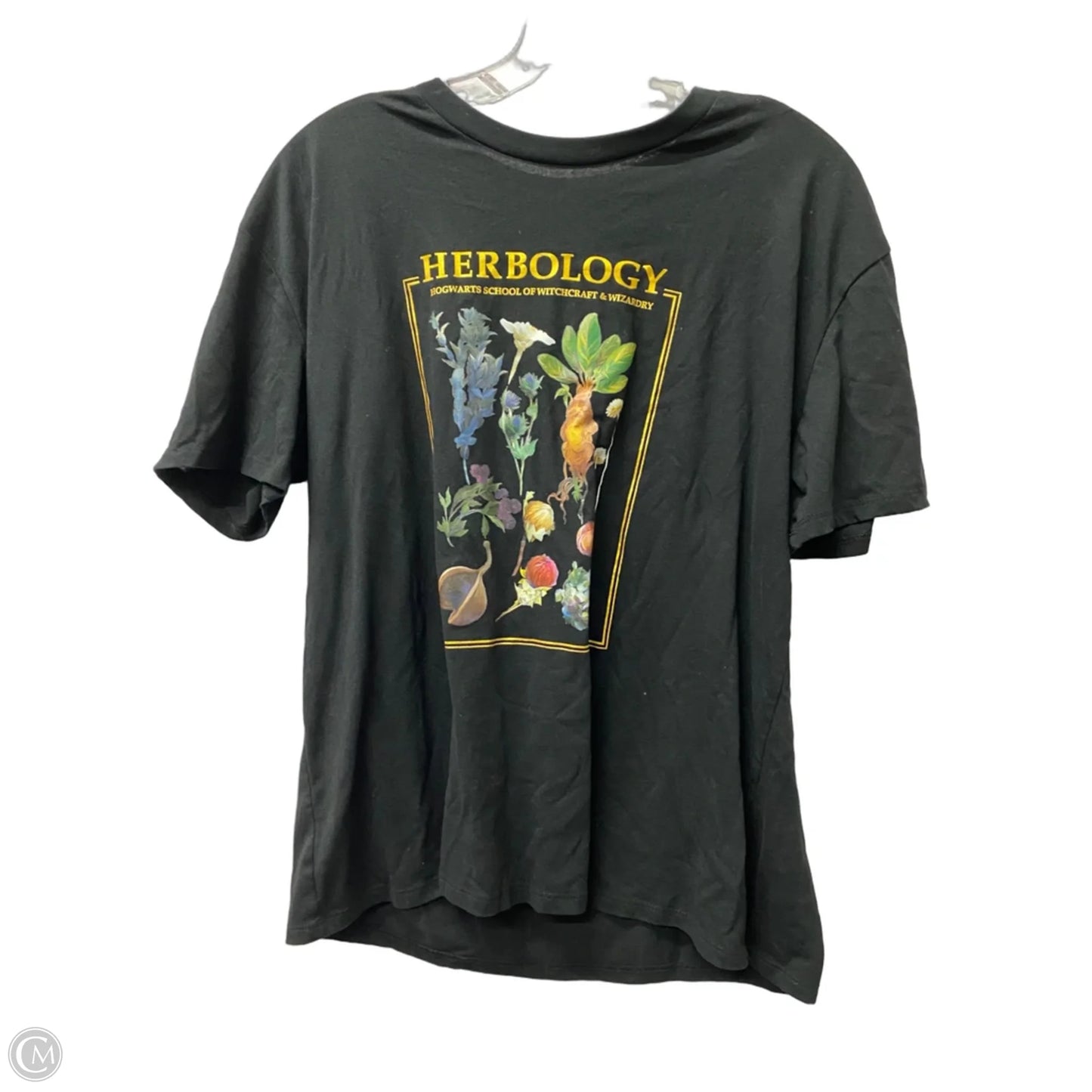 Top Short Sleeve By Harry Potter  In Black, Size: 1x
