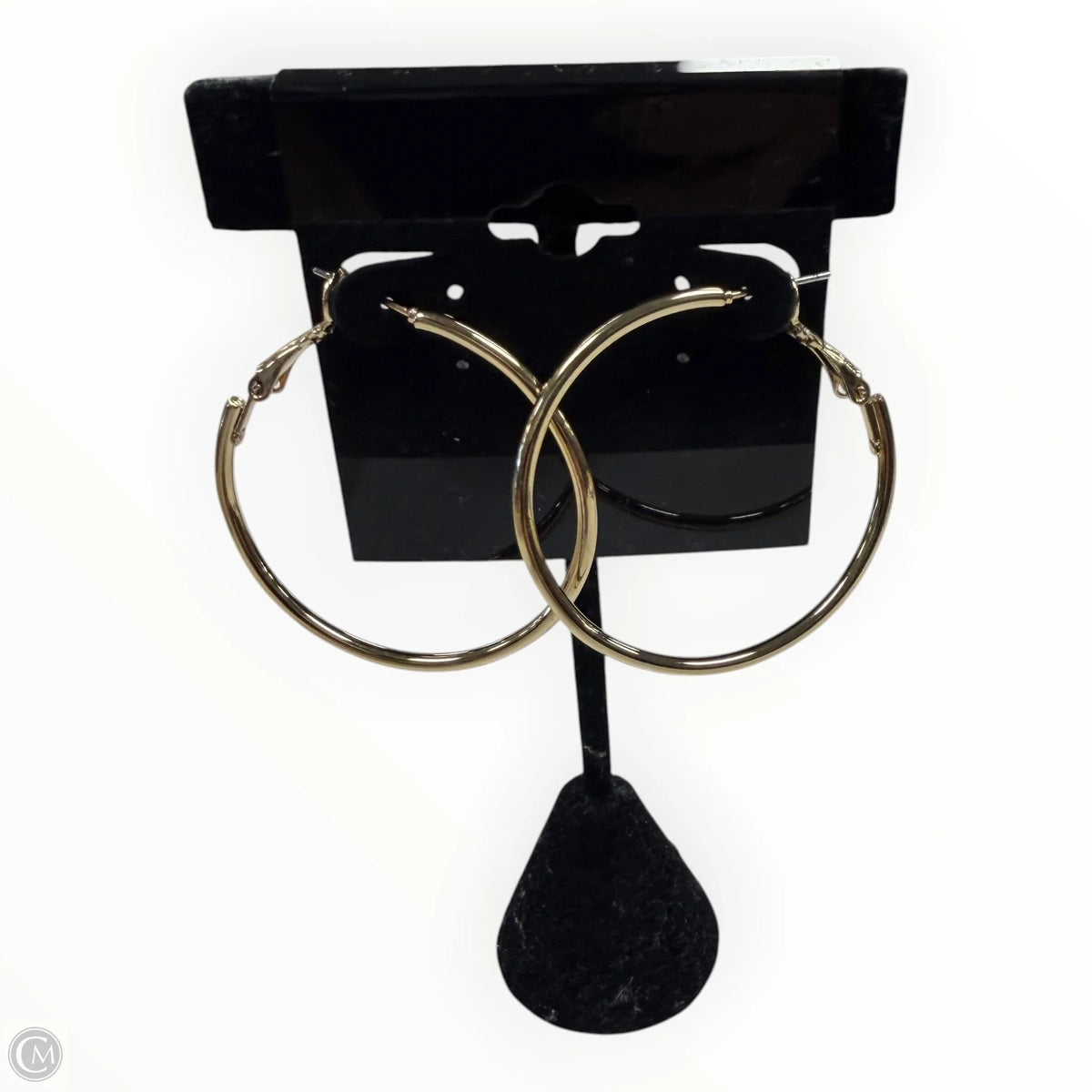 Earrings Hoop