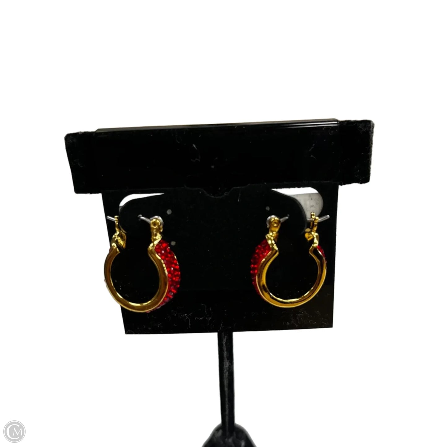 Earrings Hoop