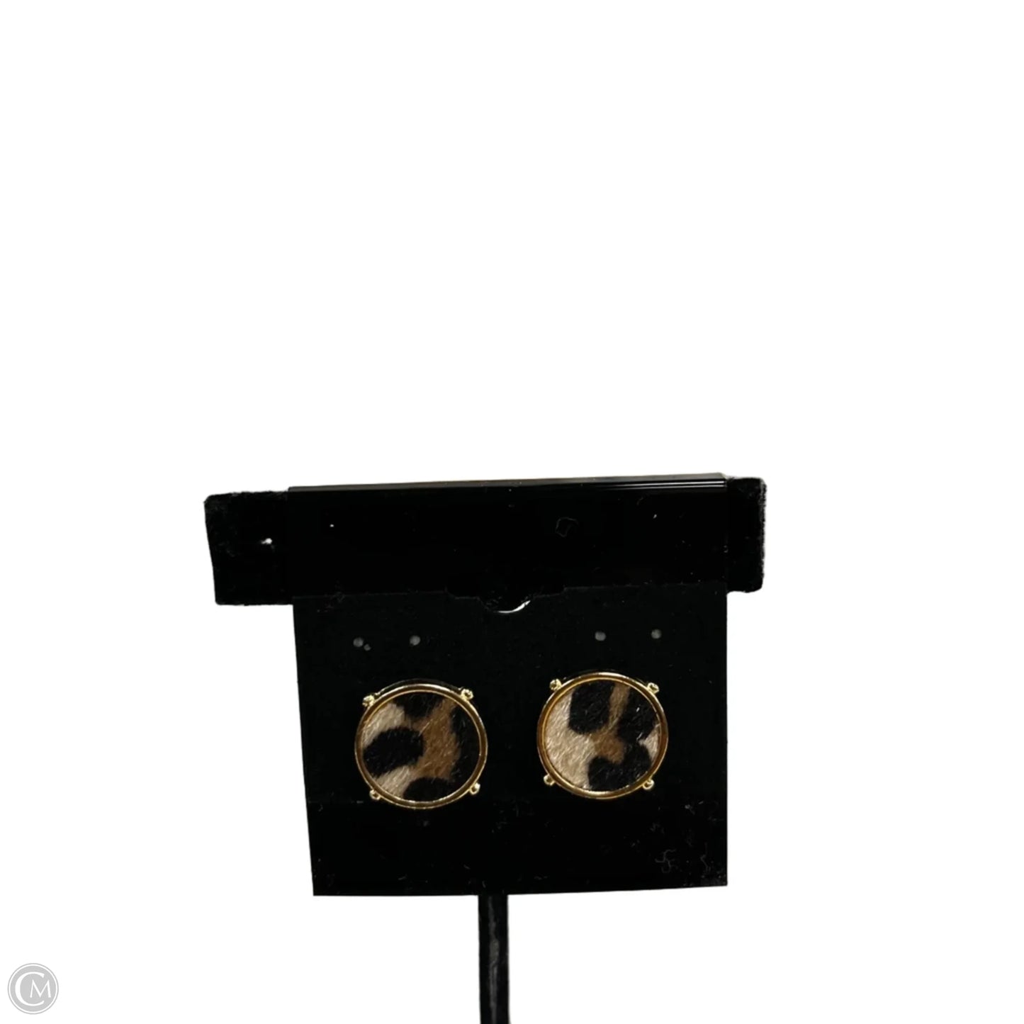 Earrings Stud