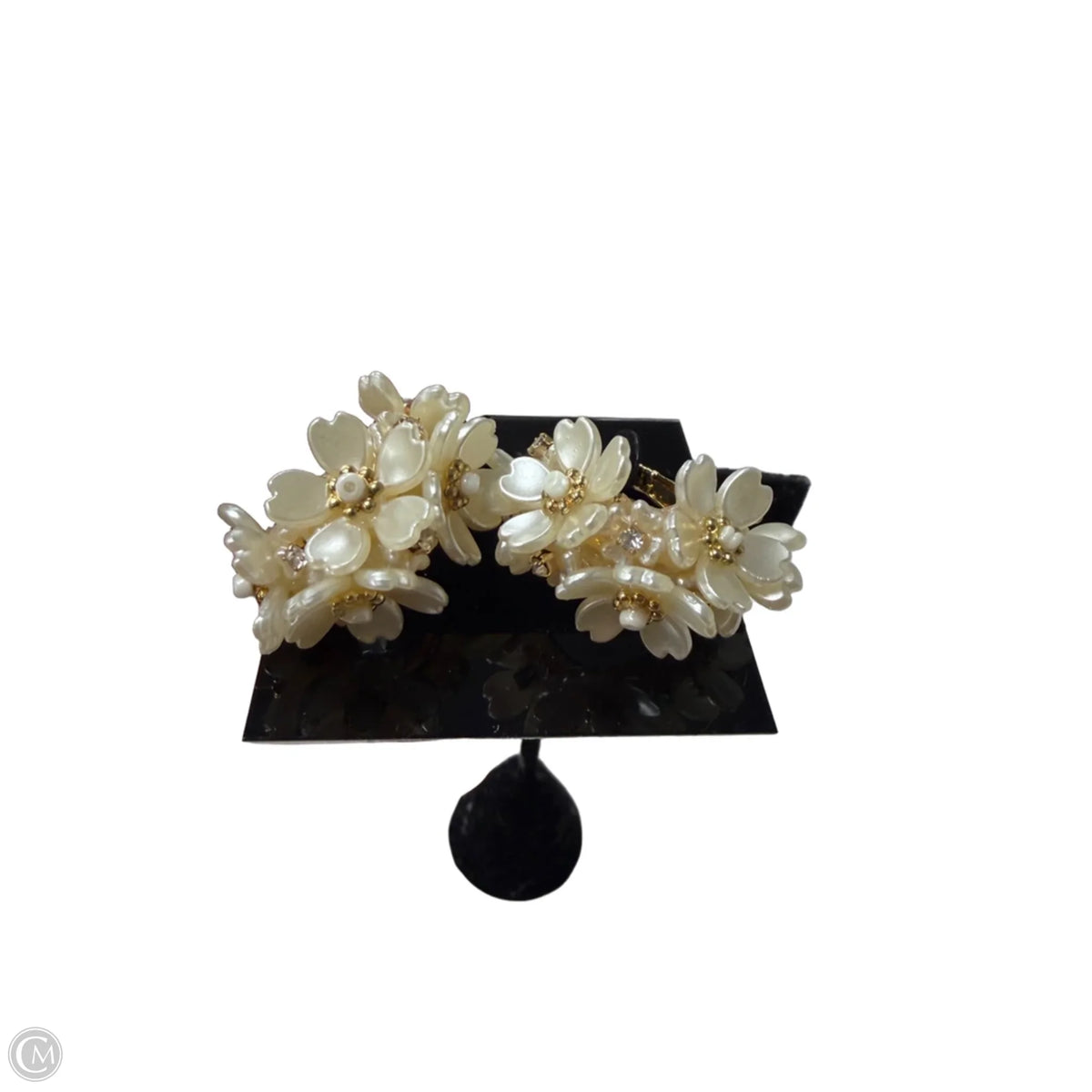 Earrings Hoop