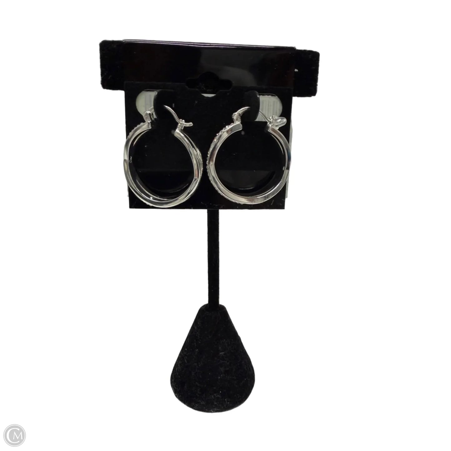 Earrings Hoop