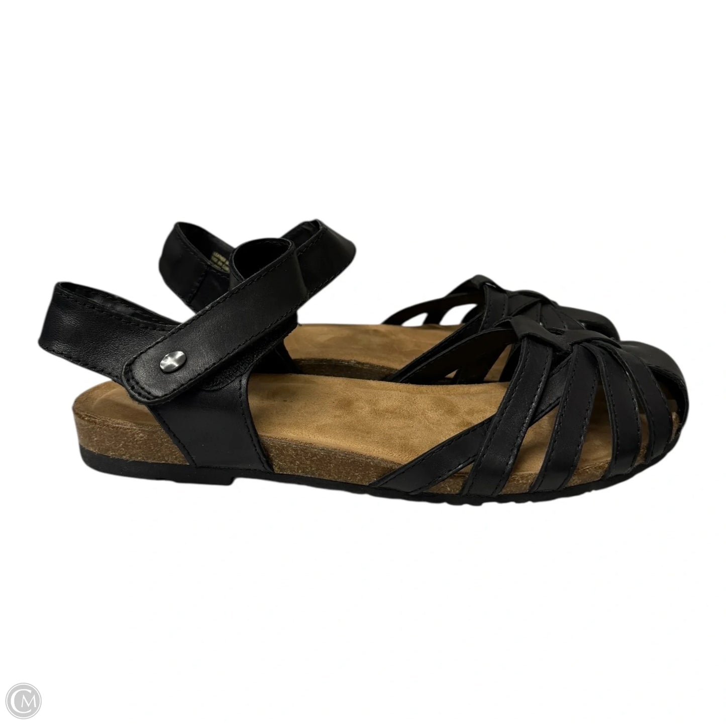 Shoes Flats By Earth In Black, Size: 9.5