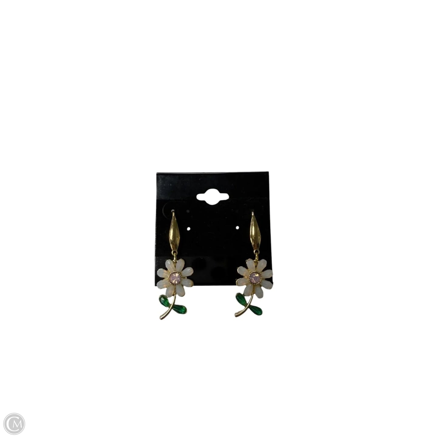 Earrings Dangle/drop