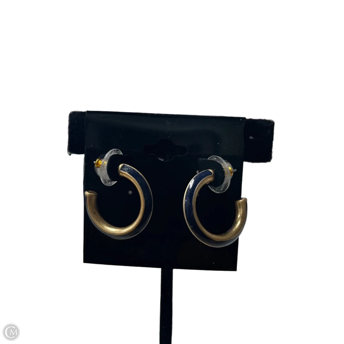 Earrings Hoop