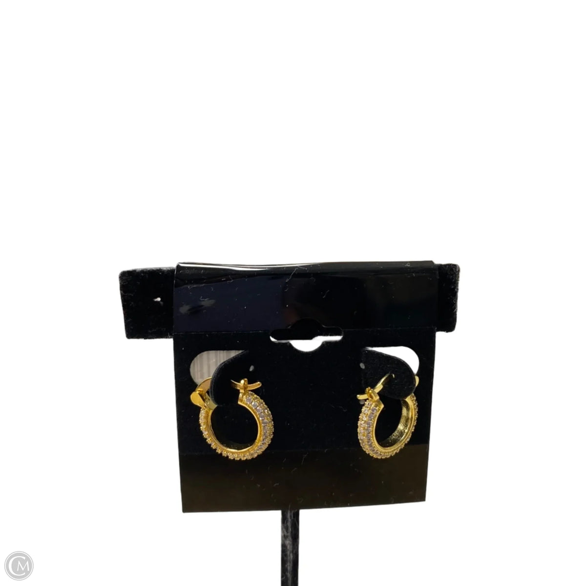 Earrings Hoop