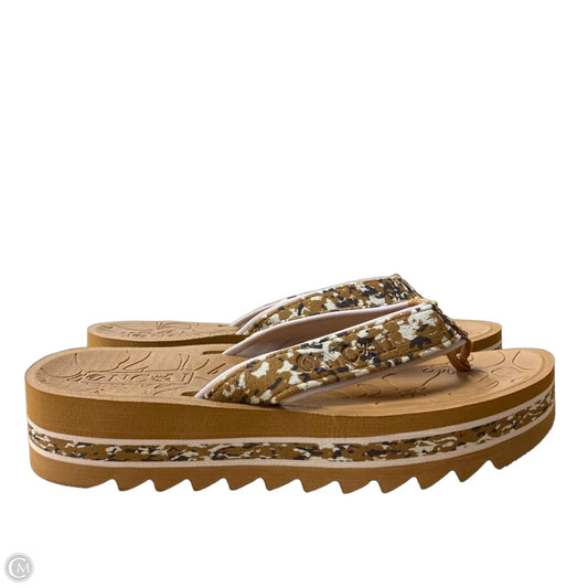 Sandals Flip Flops By Cme In Brown, Size: 6