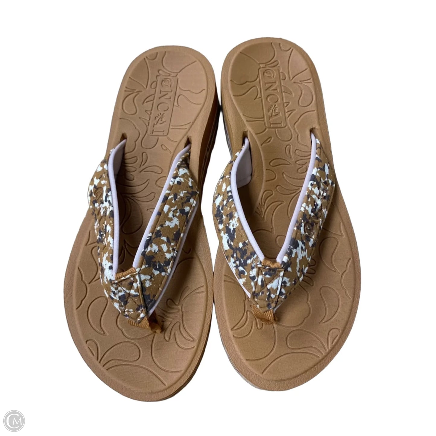 Sandals Flip Flops By Cme In Brown, Size: 6