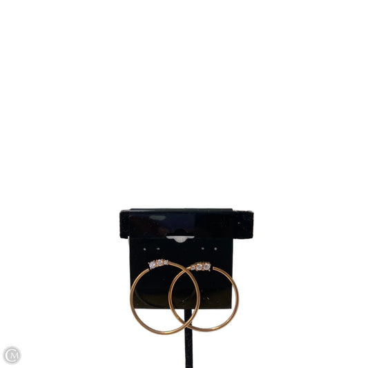 Earrings Hoop