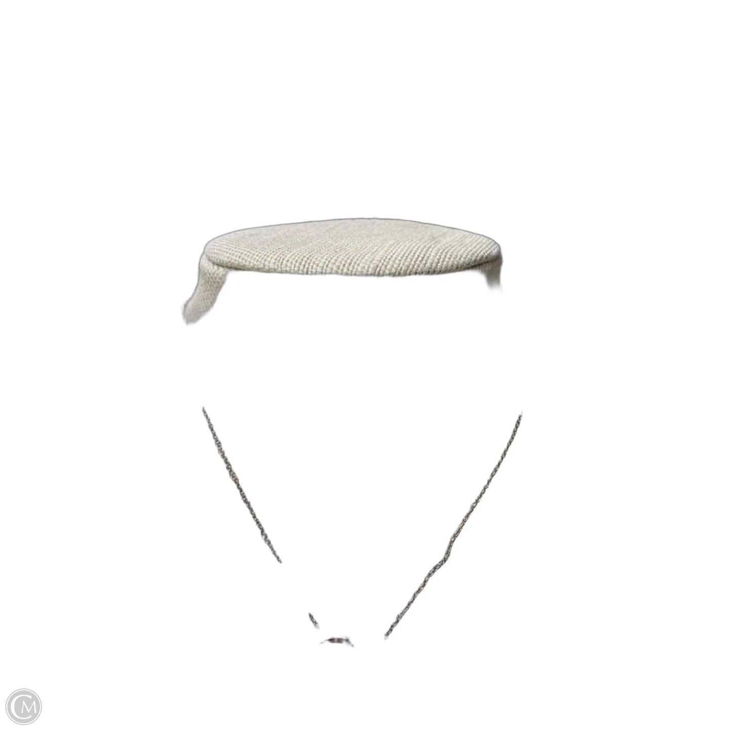 Necklace Chain By Express
