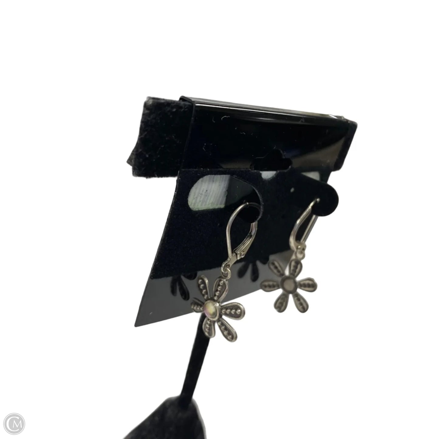 Earrings Dangle/drop