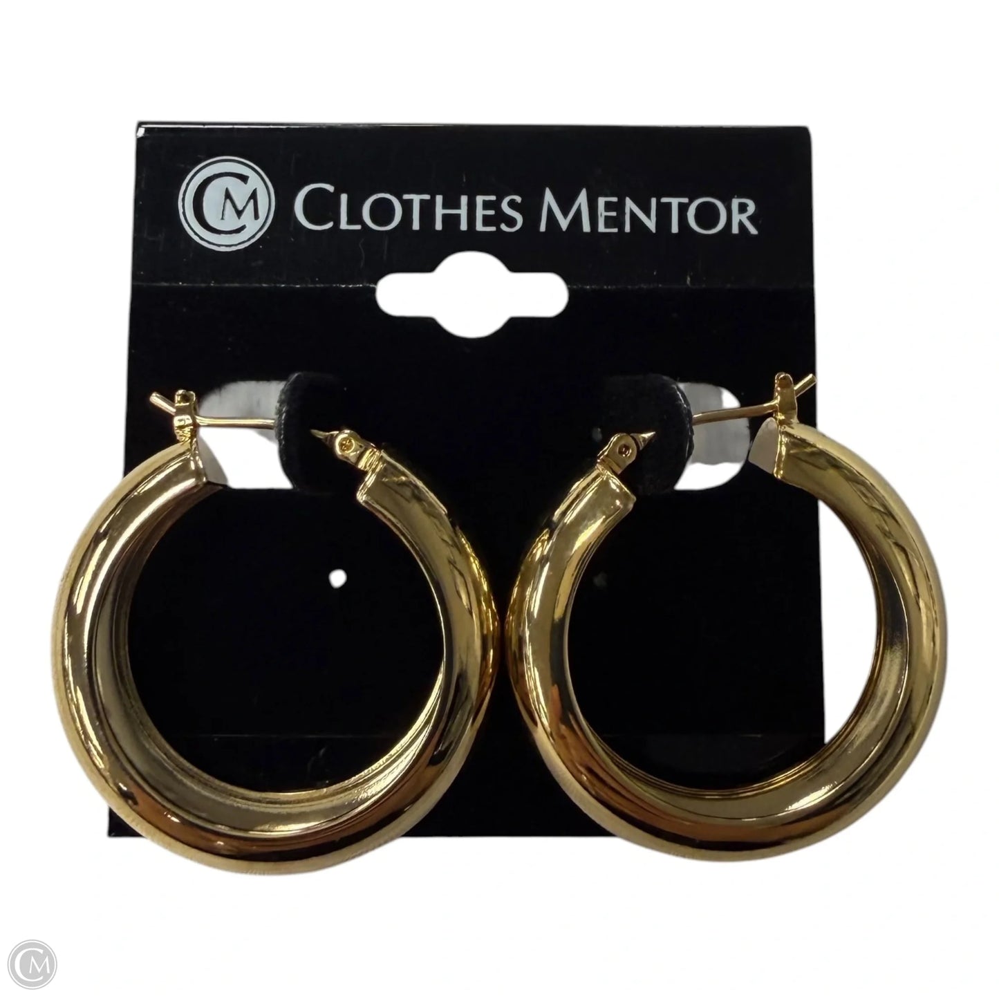 Earrings Hoop By Clothes Mentor