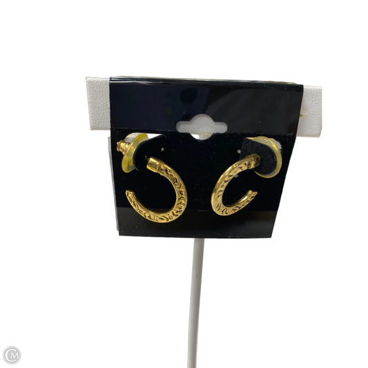 Earrings Hoop