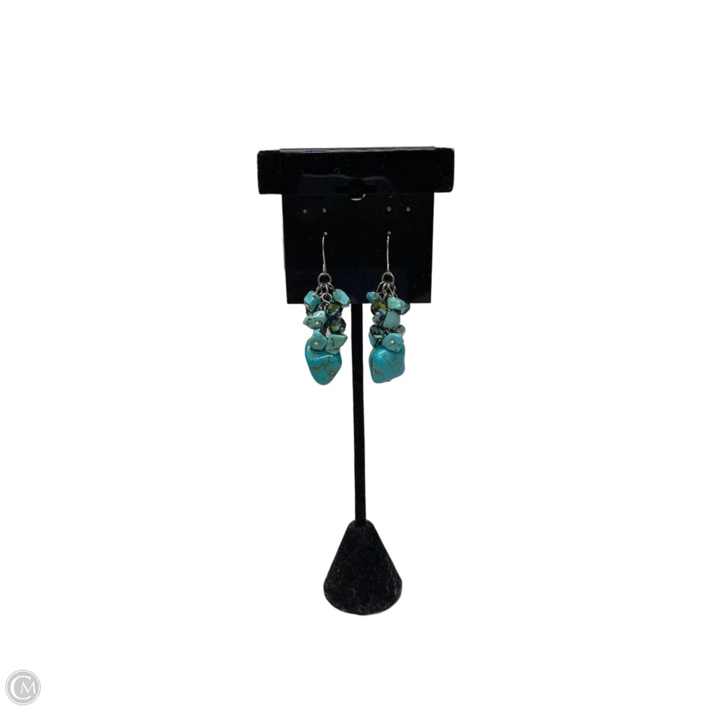 Earrings Dangle/drop